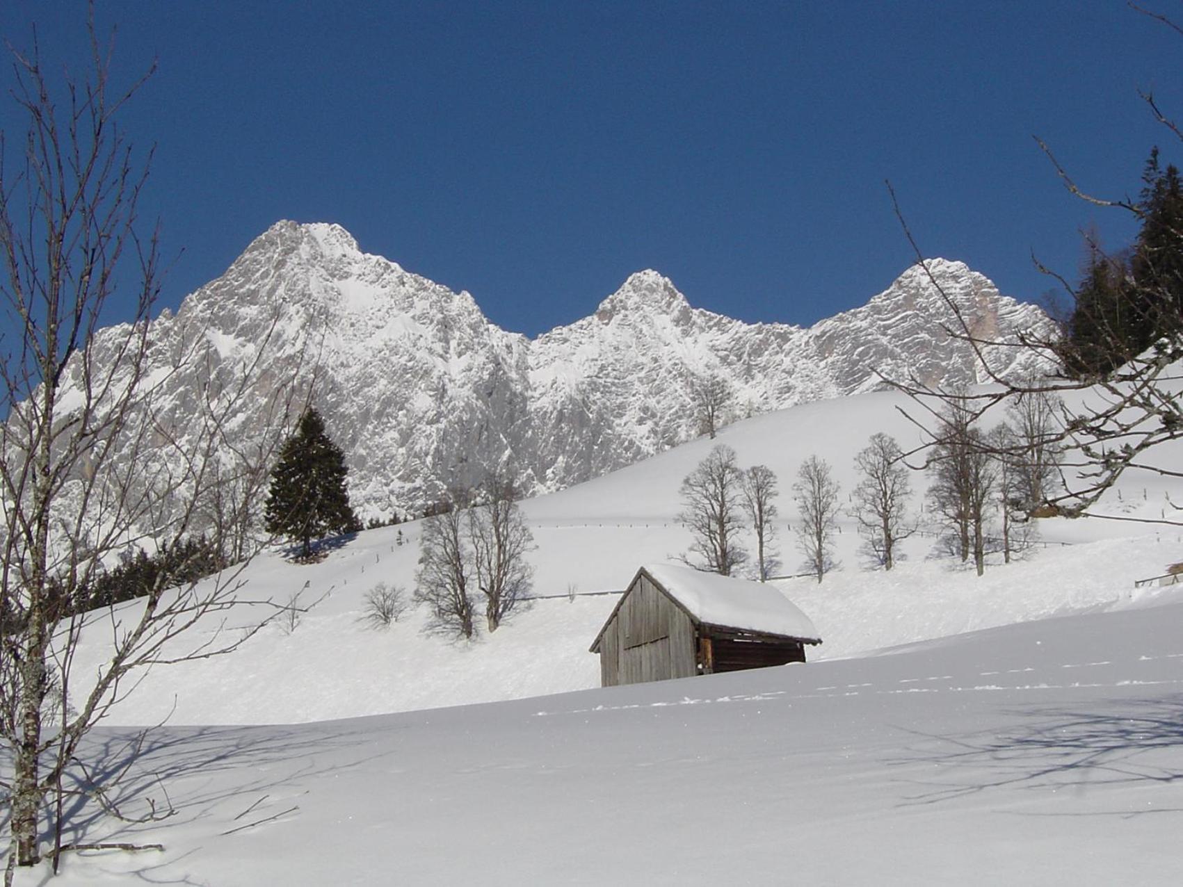 Pension Bartlbauer Ramsau am Dachstein Luaran gambar
